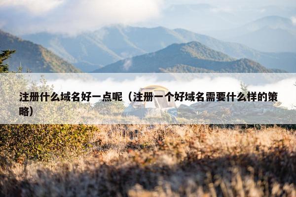 注册什么域名好一点呢（注册一个好域名需要什么样的策略）