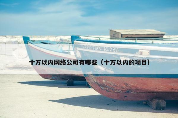 十万以内网络公司有哪些（十万以内的项目）