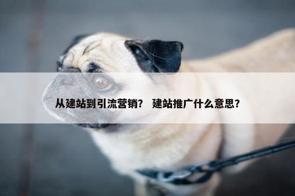 从建站到引流营销？ 建站推广什么意思？