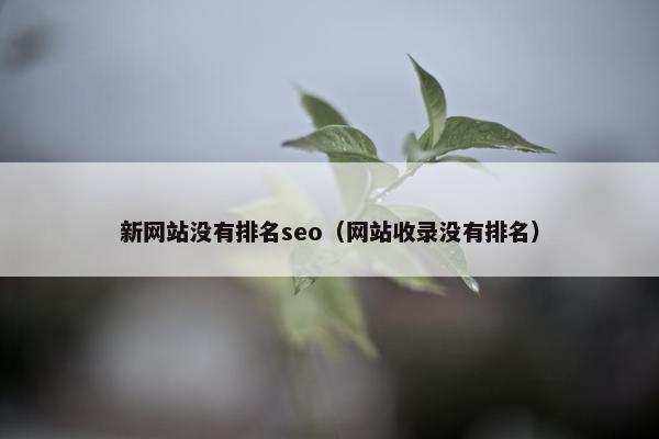 新网站没有排名seo（网站收录没有排名）