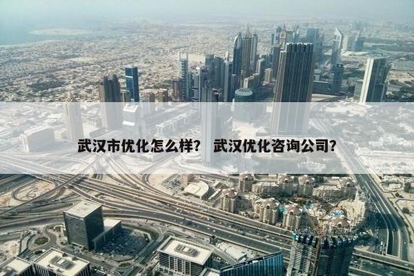 武汉市优化怎么样？ 武汉优化咨询公司？