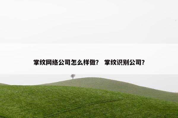 掌纹网络公司怎么样做？ 掌纹识别公司？