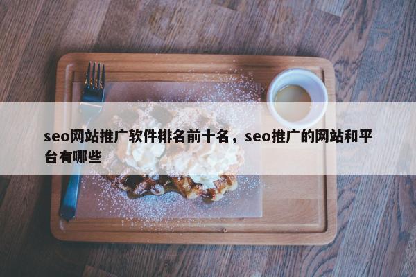 seo网站推广软件排名前十名，seo推广的网站和平台有哪些
