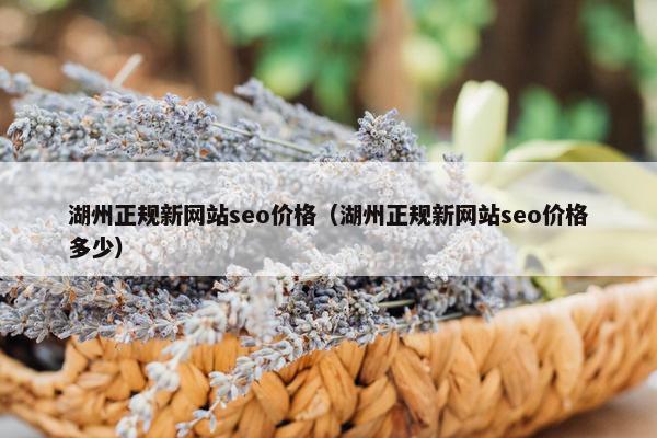 湖州正规新网站seo价格（湖州正规新网站seo价格多少）