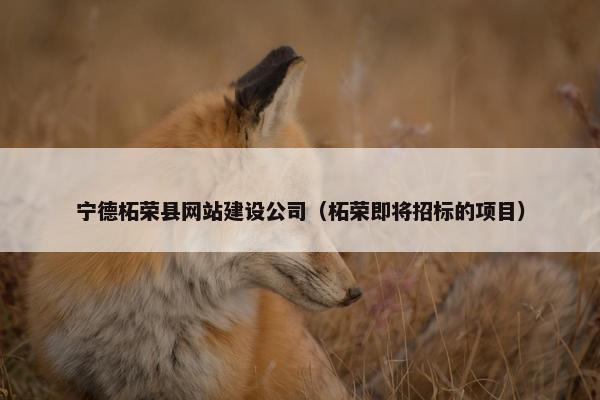 宁德柘荣县网站建设公司（柘荣即将招标的项目）