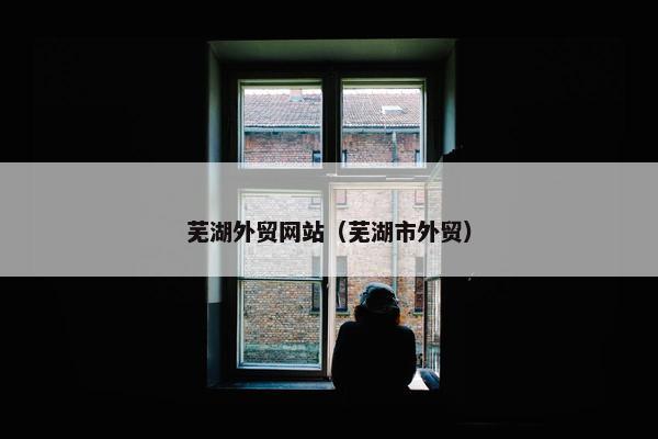 芜湖外贸网站（芜湖市外贸）