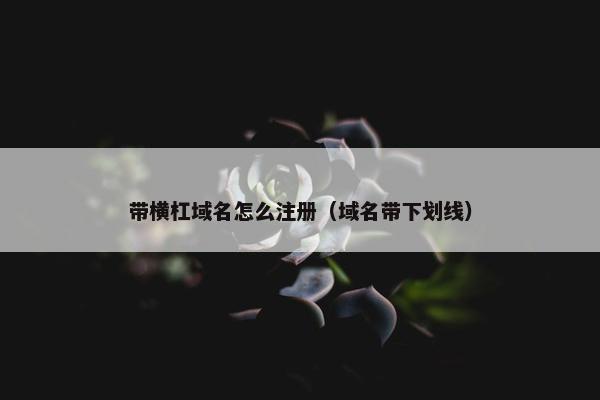 带横杠域名怎么注册（域名带下划线）