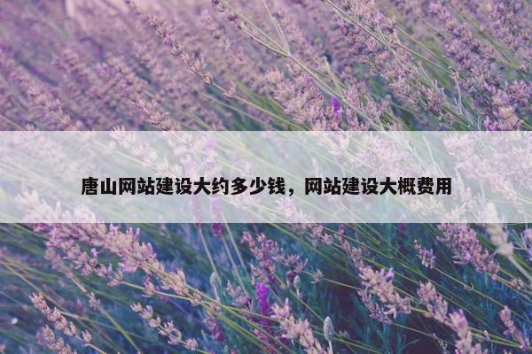 唐山网站建设大约多少钱，网站建设大概费用