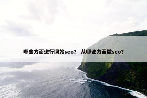 哪些方面进行网站seo？ 从哪些方面做seo？