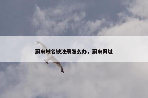 蔚来域名被注册怎么办，蔚来网址