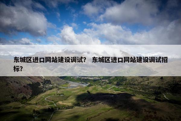 东城区进口网站建设调试？ 东城区进口网站建设调试招标？