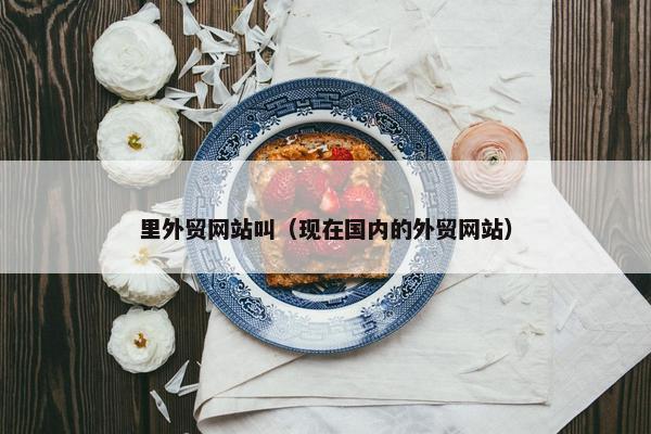 里外贸网站叫（现在国内的外贸网站）