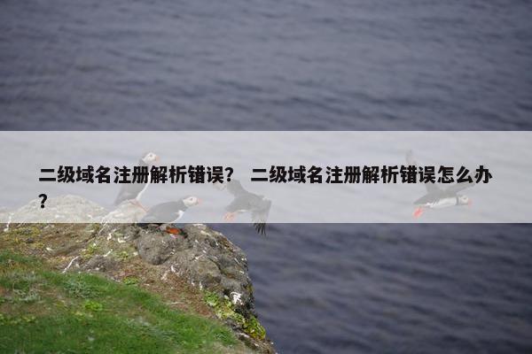 二级域名注册解析错误？ 二级域名注册解析错误怎么办？