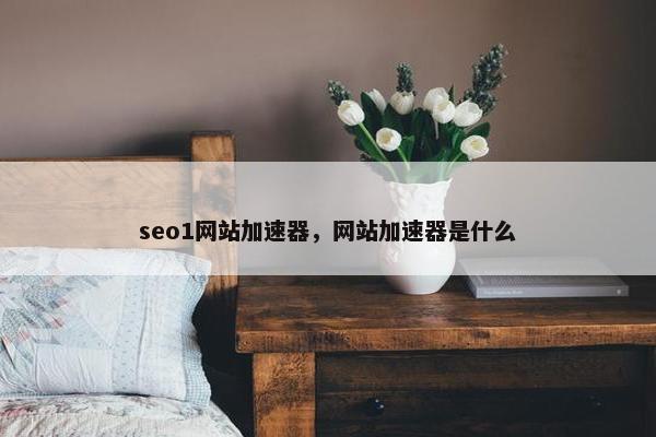 seo1网站加速器，网站加速器是什么