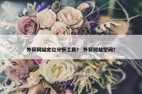 外贸网站定位分析工具？ 外贸网站空间？