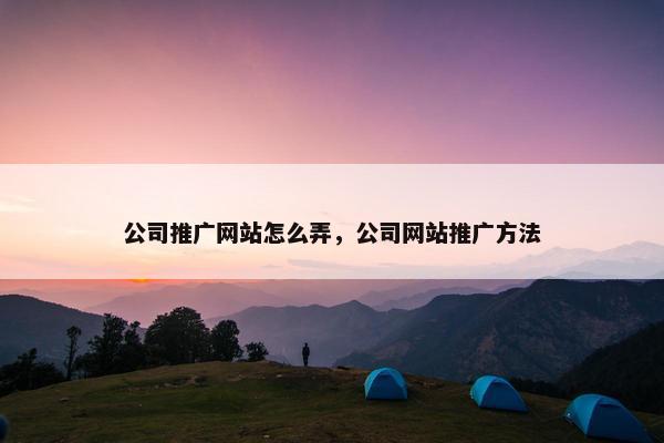 公司推广网站怎么弄，公司网站推广方法