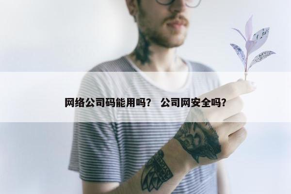 网络公司码能用吗？ 公司网安全吗？