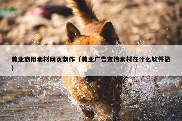 美业商用素材网页制作（美业广告宣传素材在什么软件做）