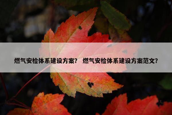 燃气安检体系建设方案？ 燃气安检体系建设方案范文？