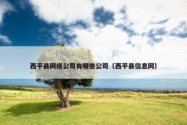 西平县网络公司有哪些公司（西平县信息网）