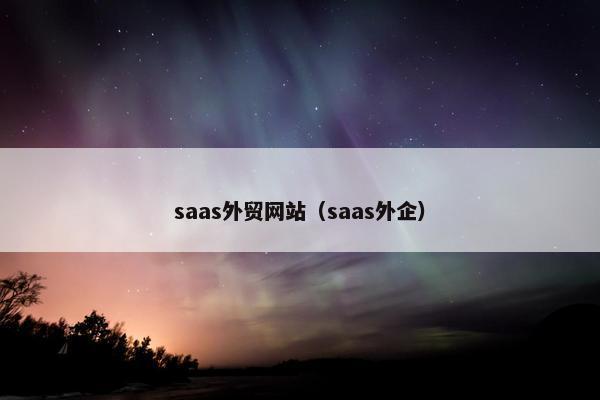 saas外贸网站（saas外企）
