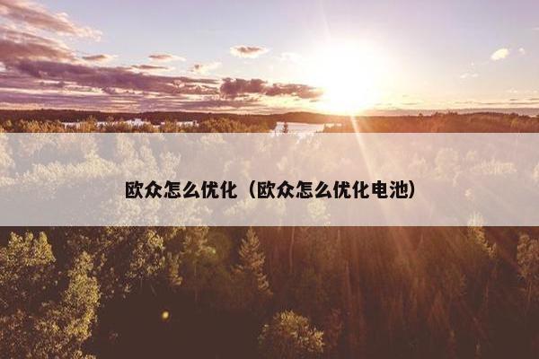 欧众怎么优化（欧众怎么优化电池）