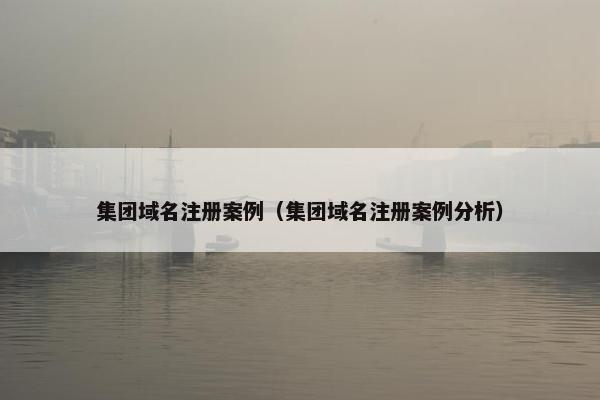 集团域名注册案例（集团域名注册案例分析）