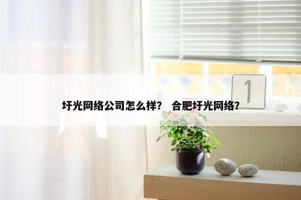 圩光网络公司怎么样？ 合肥圩光网络？