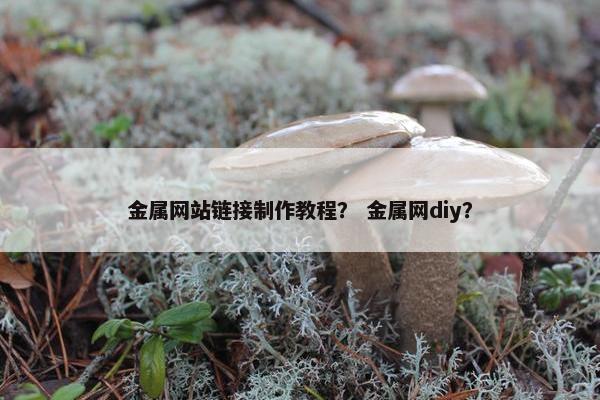 金属网站链接制作教程？ 金属网diy？
