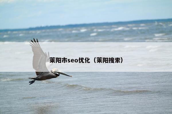莱阳市seo优化（莱阳搜索）
