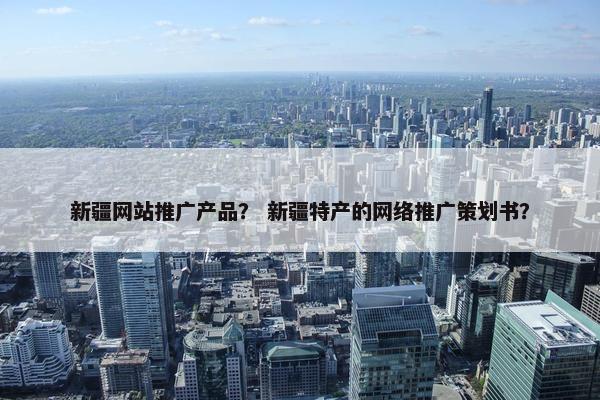 新疆网站推广产品？ 新疆特产的网络推广策划书？