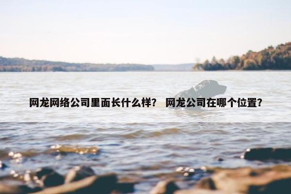 网龙网络公司里面长什么样？ 网龙公司在哪个位置？