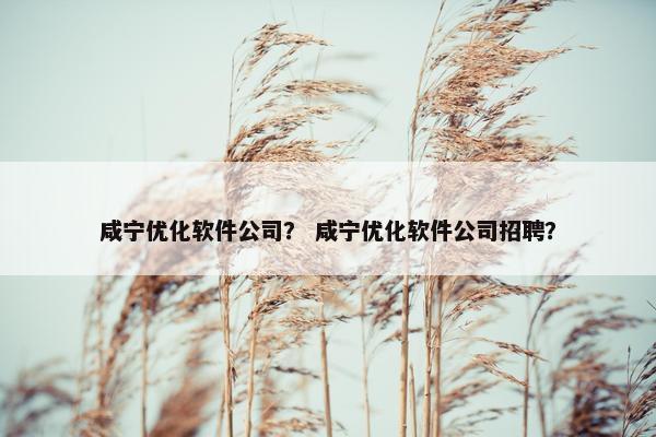 咸宁优化软件公司？ 咸宁优化软件公司招聘？