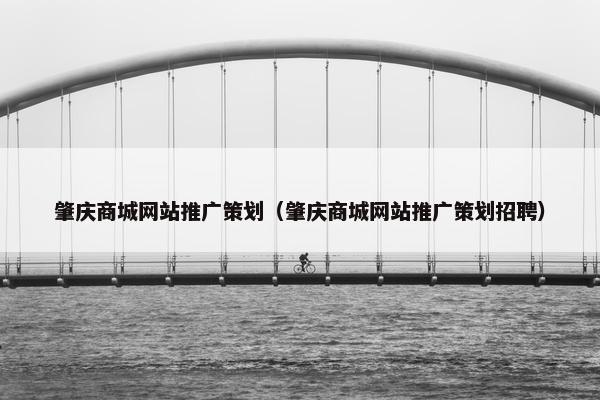 肇庆商城网站推广策划（肇庆商城网站推广策划招聘）