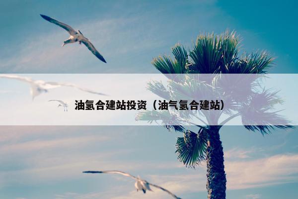 油氢合建站投资（油气氢合建站）