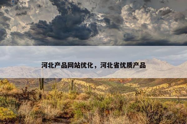 河北产品网站优化，河北省优质产品