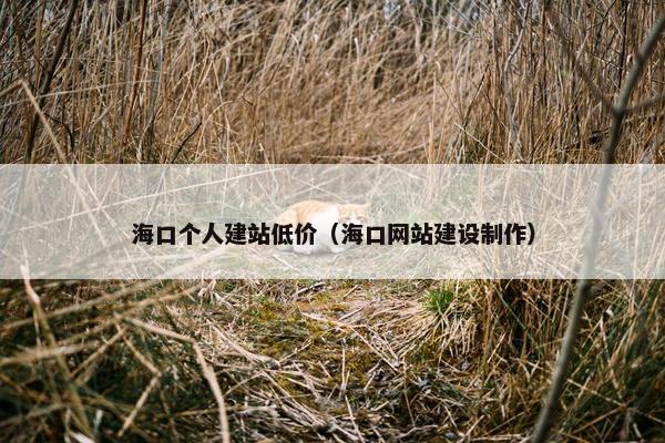 海口个人建站低价（海口网站建设制作）