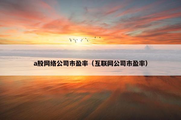 a股网络公司市盈率（互联网公司市盈率）