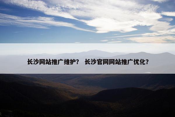 长沙网站推广维护？ 长沙官网网站推广优化？