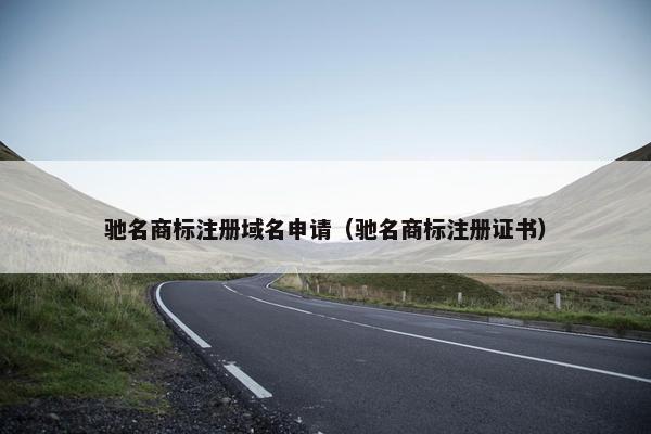 驰名商标注册域名申请（驰名商标注册证书）