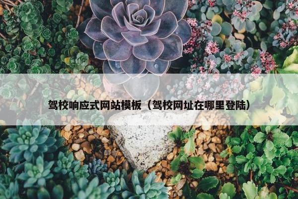 驾校响应式网站模板（驾校网址在哪里登陆）