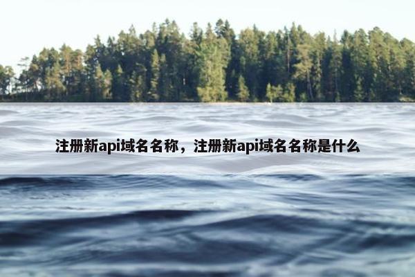 注册新api域名名称，注册新api域名名称是什么