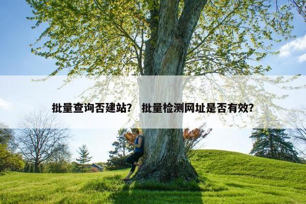批量查询否建站？ 批量检测网址是否有效？