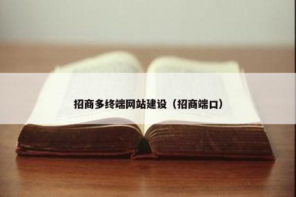 招商多终端网站建设（招商端口）