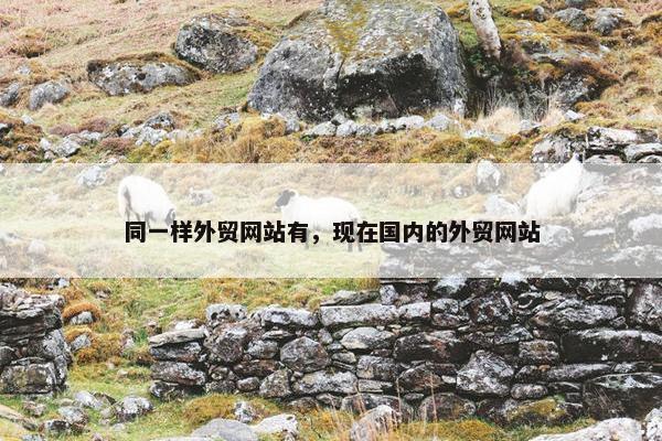 同一样外贸网站有，现在国内的外贸网站
