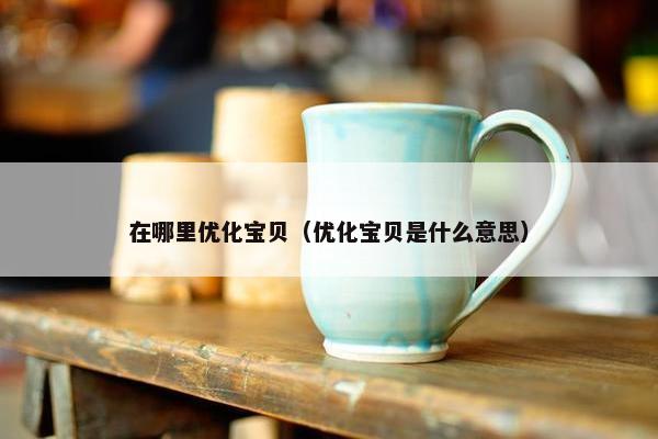 在哪里优化宝贝（优化宝贝是什么意思）
