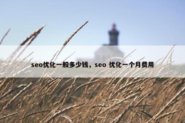 seo优化一般多少钱，seo 优化一个月费用