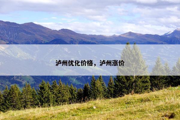 泸州优化价格，泸州涨价