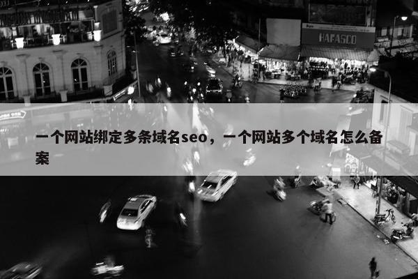 一个网站绑定多条域名seo，一个网站多个域名怎么备案