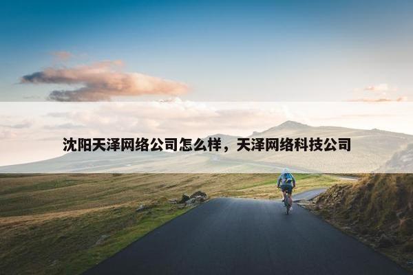 沈阳天泽网络公司怎么样，天泽网络科技公司